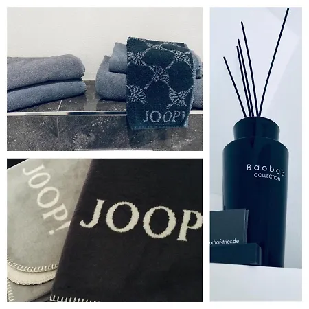 Maxhof Apartman Trier