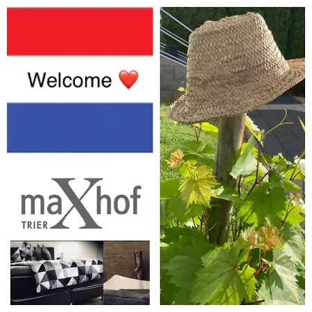 Maxhof טרייר