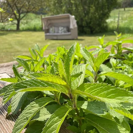 Maxhof Lejlighed Trier