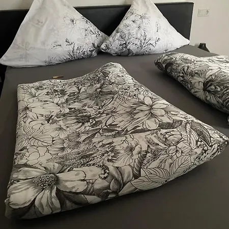 Maxhof Apartman Trier