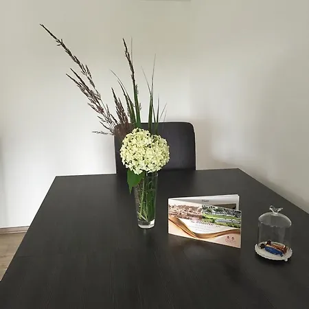Apartmán Maxhof *