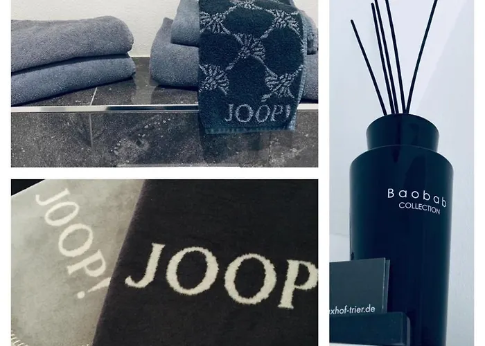 Maxhof Апартаменты Трир