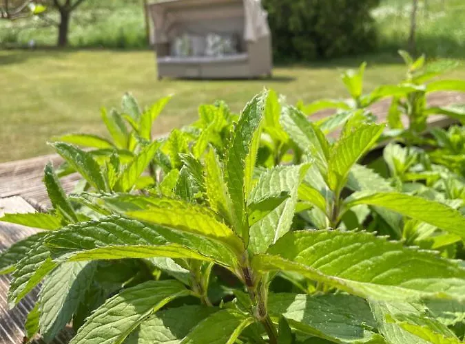 Maxhof Lägenhet Trier