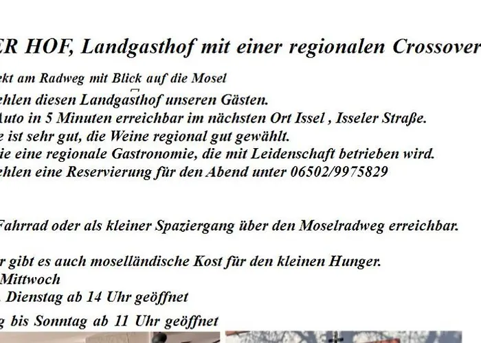 Апартаменты Maxhof Трир